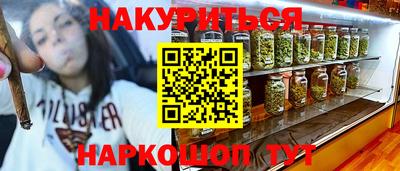 индика Моздок