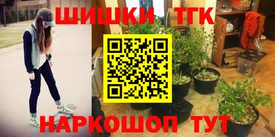 индика Моздок