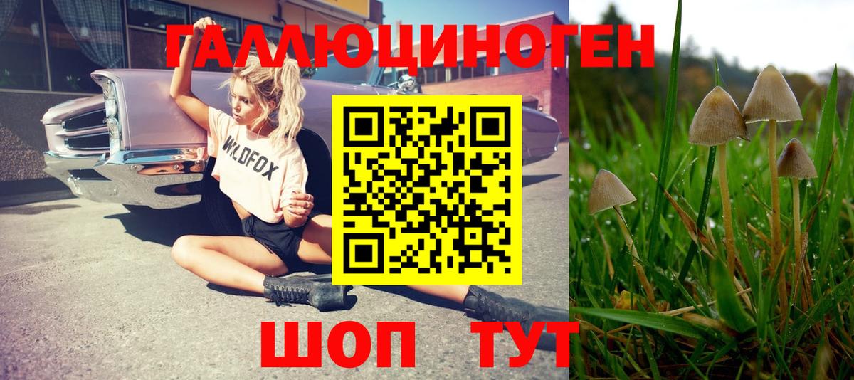 как найти наркотики  Псилоцибиновые грибы ЛСД  Вход с VPN  Уварово 