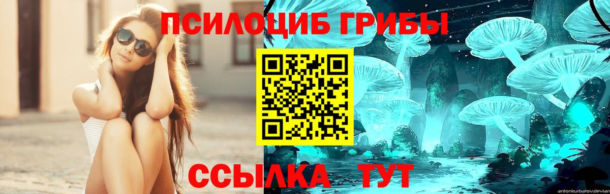 Галлюциногенные грибы прущие грибы Уварово